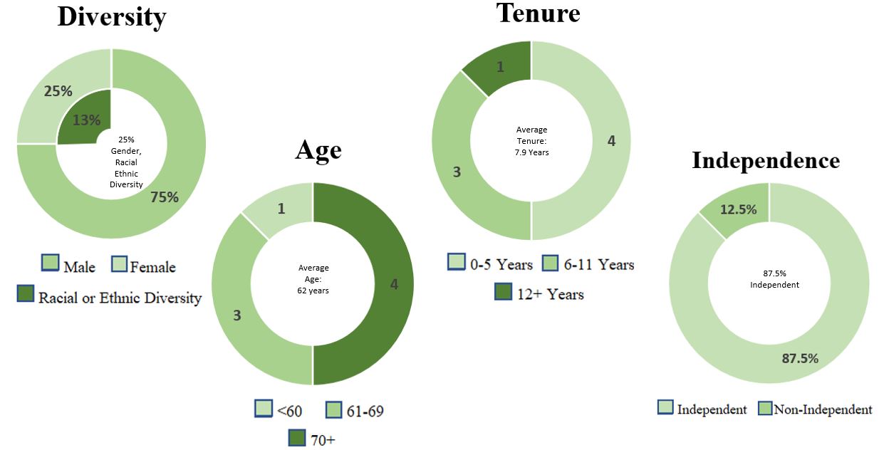 2024 Board Diversity Chart.jpg